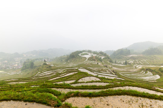 丽水云和梯田