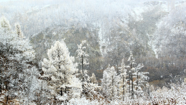 兴安岭的冬天