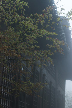 雨雾山寺