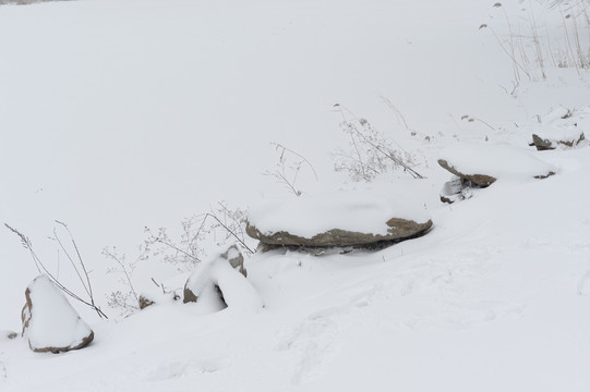 雪地