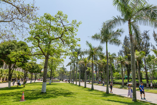 厦门大学