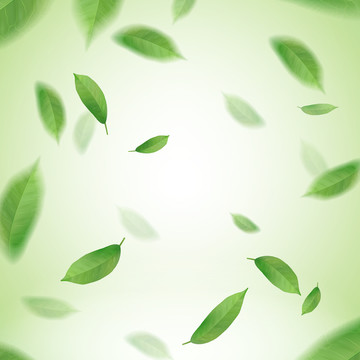 绿茶叶片在空中旋转飞舞