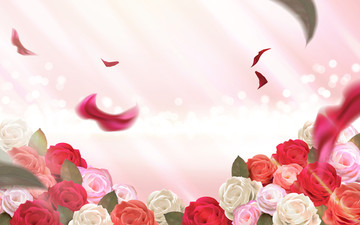 玫瑰花瓣光斑背景素材