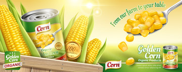 鲜甜玉米罐头广告设计