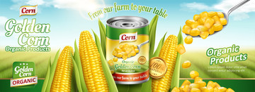 甜玉米罐头横幅广告与田园背景
