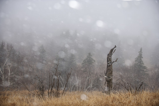 雪乡