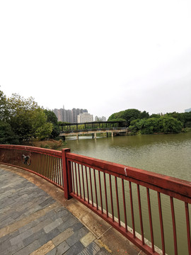 公园景观
