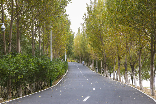 浑河滨水慢道