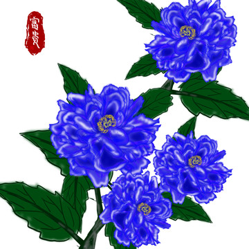牡丹花
