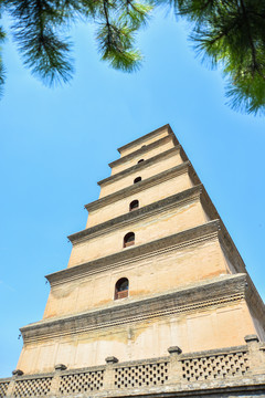 唐大慈恩寺遗址公园