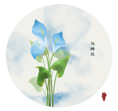 马蹄花