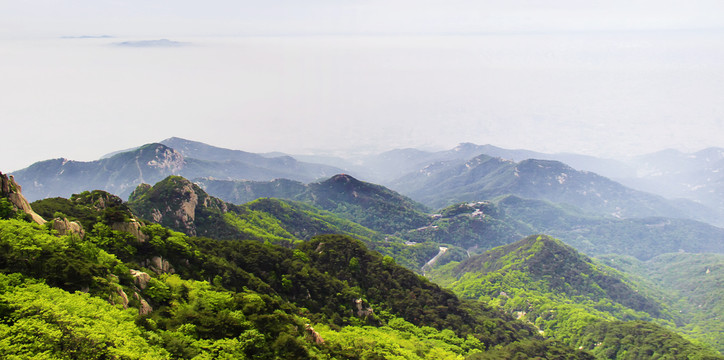 泰山