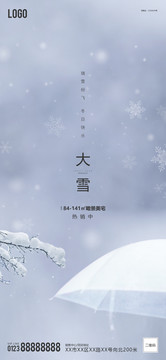 大雪海报