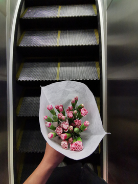 电梯手持康乃馨