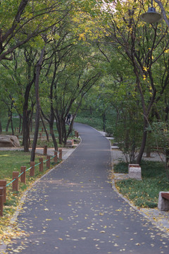 千佛山道路