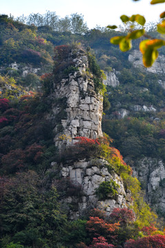 潭溪山红叶