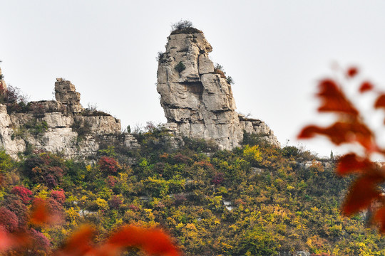 潭溪山红叶