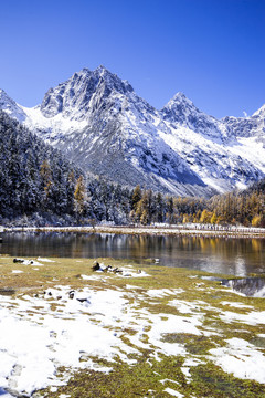 川西雪山风景