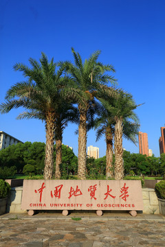 中国地质大学