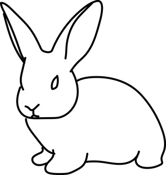 兔子5