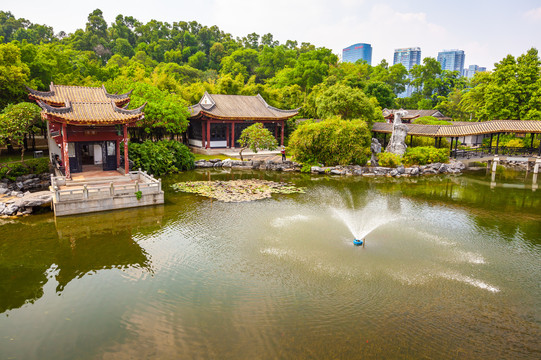 顺峰山公园景观