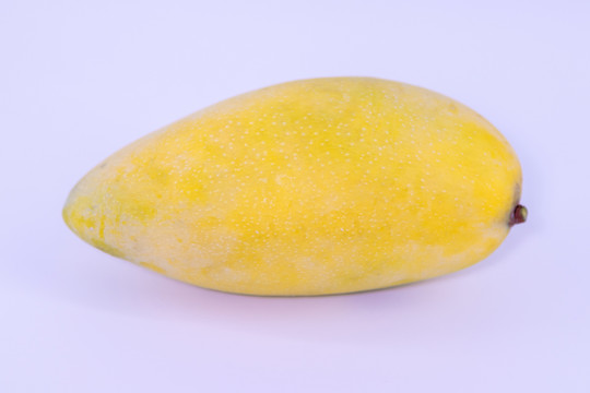 大青芒