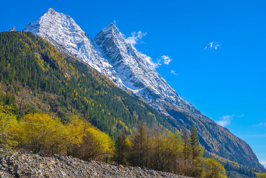 坪沟四姑娘山