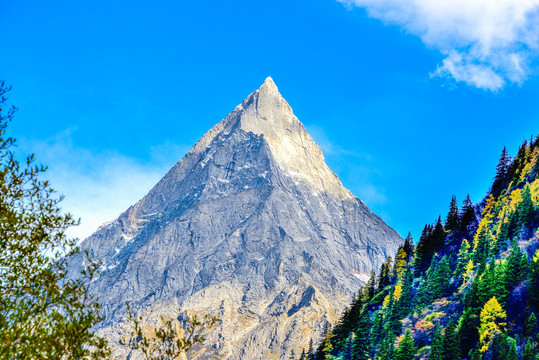 坪沟四姑娘山