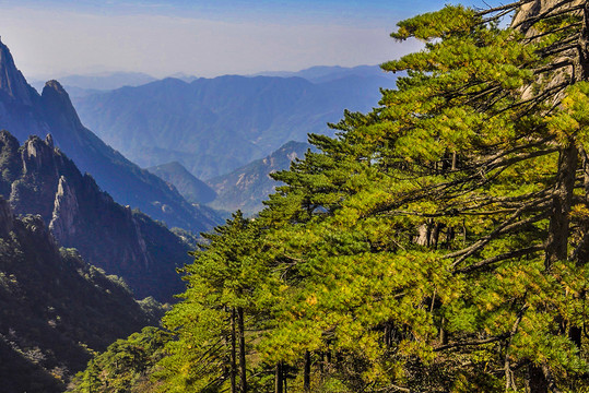 高山