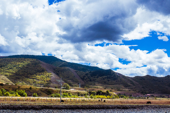 川西风景