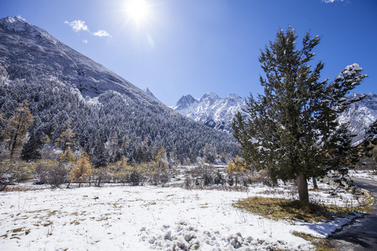 川西毕棚沟雪山风景