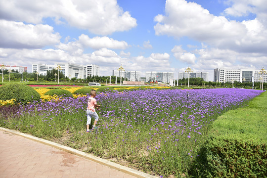 花园城市