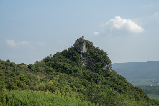 山