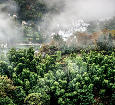 山村风景画