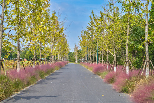 花园路