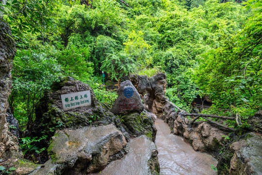 大山