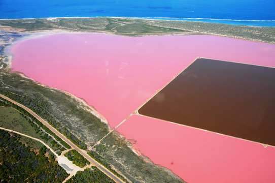 赫特泻粉红湖