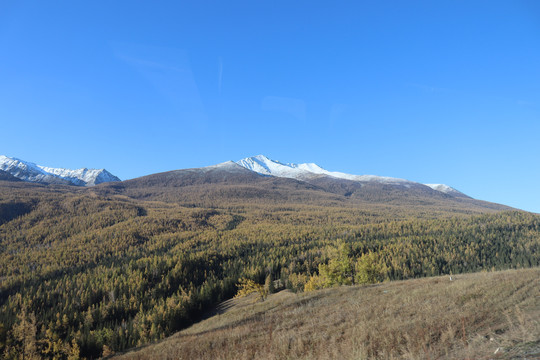 新疆喀纳斯风景区