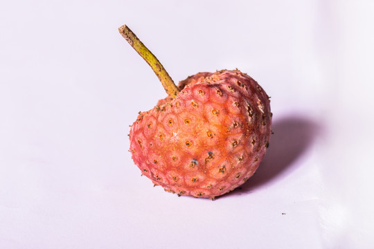 鸡嗉子