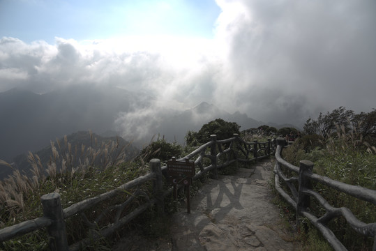 登山道