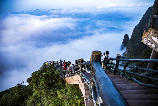 登山道