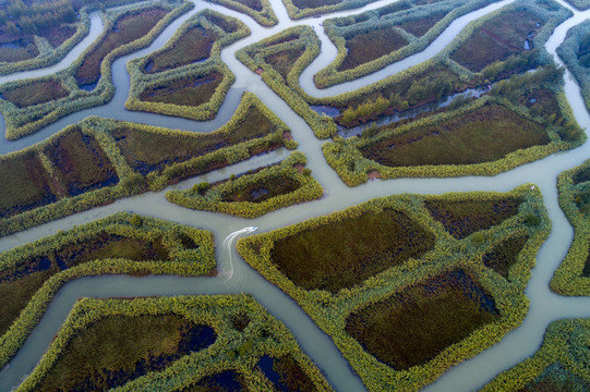 洪泽湖湿地芦苇迷宫