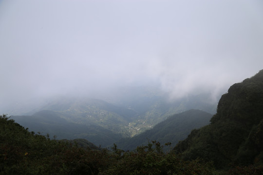 凤庆大雪山黄竹林箐