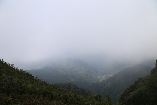 凤庆大雪山黄竹林箐