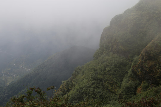 凤庆大雪山黄竹林箐