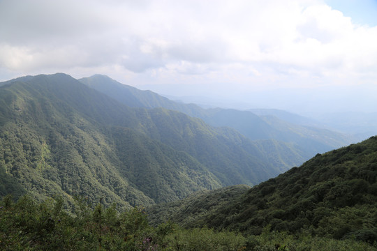 凤庆大雪山黄竹林箐