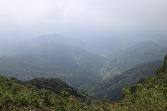 凤庆大雪山黄竹林箐