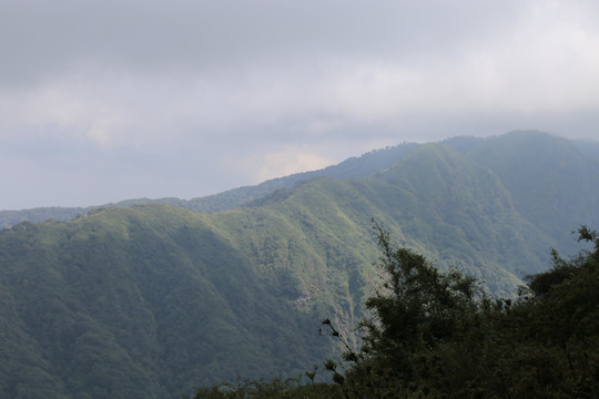 凤庆大雪山黄竹林箐