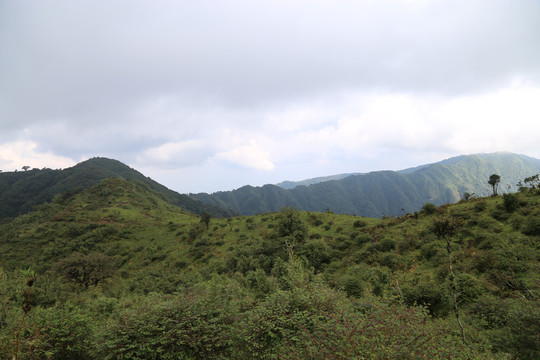 凤庆大雪山黄竹林箐