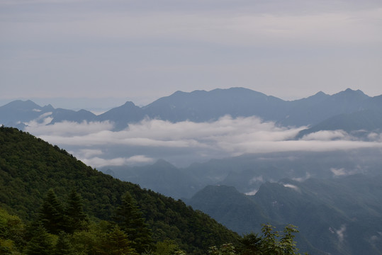 神农顶